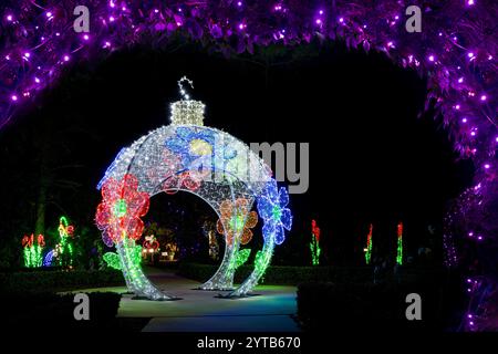 Weihnachtsbeleuchtung. Botanische Gärten Von Port St. Lucie. Port St. Lucie, Florida, USA Stockfoto