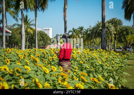 Bangkok, Thailand. Dezember 2024. Eine Frau wird beim Selfie im blühenden Sonnenblumenfeld im Chatuchak Park in Bangkok gesehen. Der Chatuchak Park ist ein öffentlicher Park in Bangkok, der einen friedlichen Rückzugsort mit Grünflächen, einem See und Erholungsgebieten abseits der Hektik der Stadt bietet. Quelle: SOPA Images Limited/Alamy Live News Stockfoto