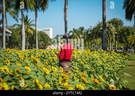 Bangkok, Thailand. Dezember 2024. Eine Frau wird beim Selfie im blühenden Sonnenblumenfeld im Chatuchak Park in Bangkok gesehen. Der Chatuchak Park ist ein öffentlicher Park in Bangkok, der einen friedlichen Rückzugsort mit Grünflächen, einem See und Erholungsgebieten abseits der Hektik der Stadt bietet. (Foto: Nathalie Jamois/SOPA Images/SIPA USA) Credit: SIPA USA/Alamy Live News Stockfoto