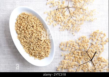 Getrocknete Holunderblüten in ovaler weißer Schüssel auf Leinengewebe mit getrockneten Korymbolen rechts. Holunderblütentee, Flos Sambuci. Stockfoto