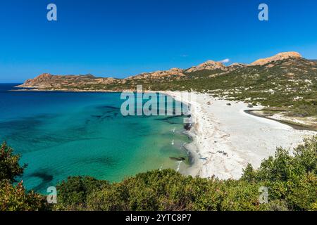 FRANKREICH. HAUTE-CORSE (2B) AGRIATES WÜSTE. PLAGE DE L'OSTRICONI, AM ENDE DER BUCHT PERAIOLA, WO DIE AGRIATES AUF DAS OSTRICONI-TAL TREFFEN Stockfoto