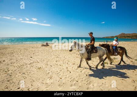 FRANKREICH. HAUTE-CORSE (2B) AGRIATES WÜSTE. REITEN IM ARBO VALLEY EQUESTRIAN CLUB IN DER NÄHE DES OSTRICONI STRANDES. Stockfoto