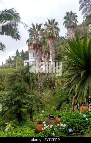 FUNCHAL, PORTUGAL - 24. AUGUST 2021: Hier sehen Sie einen Teil des Monte Tropical Park in der Nähe des Monte Palace. Stockfoto