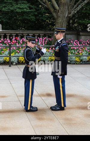 Arlington National Cemetery, Ehrenwache am Grab des unbekannten Soldaten, die vor dem Wachwechsel Waffeninspektion unterzieht. Arlington, Virg Stockfoto