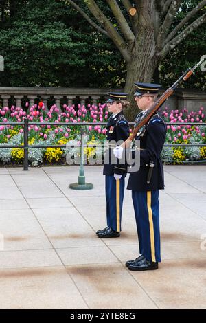 Arlington National Cemetery, Ehrenwache am Grab des unbekannten Soldaten, Wachwechsel-Zeremonie. Arlington, Virginia, USA. Stockfoto