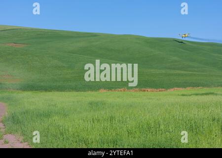 Palouse, Washington. Crop Duster macht einen Low Pass über Weizenfelder in der Nähe von Pullman, Washington. Stockfoto