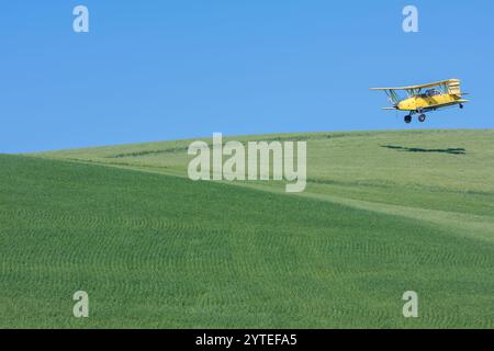 Palouse, Washington. Crop Duster macht einen Low Pass über Weizenfelder in der Nähe von Pullman, Washington. Stockfoto