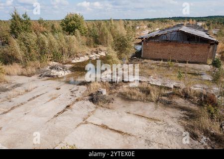 Verlassene Industrielandschaft umgeben von bewachsener Natur. Stockfoto