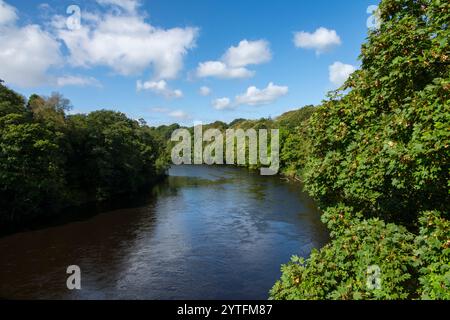 Brücken über den Fluss bei Crook o' Lune in der Nähe von Lancaster in Nordengland. Eine Reihe von Wegen bietet angenehme Spaziergänge mit herrlicher Aussicht. Stockfoto