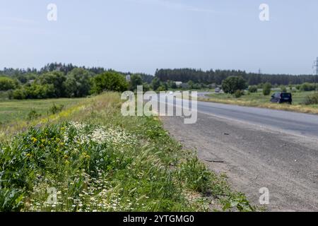 Die malerische Landstraße schlängelt sich durch lebendige Wildblumen und schafft eine friedliche Atmosphäre inmitten üppiger Grünflächen und eines klaren blauen Himmels Stockfoto