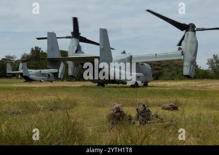 Die US-Marines mit dem Battalion Landing Team 2/4, 31. Marine Expeditionary Unit, stellten die Sicherheit während einer taktischen Bergung von Flugzeugen und Personalübungen ein Stockfoto