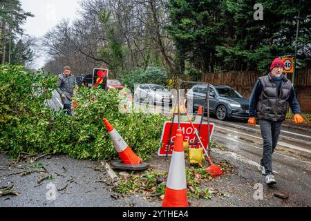 London, Großbritannien. Dezember 2024. Lange Verkehrsrückstände, die auf die Autobahn M25 führen, verursacht durch Bäume, die vom Sturm Darragh gefällt wurden. Sturm Darragh verursacht Chaos in ganz England; umgefallene Bäume blockieren eine Zufahrtsstraße zur Autobahn M25 in Surrey und verursachen lange Rückstände. (Foto: Lab Ky Mo/Sopa Images/SIPA USA) Credit: SIPA USA/Alamy Live News Stockfoto