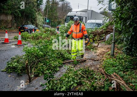 London, Großbritannien. Dezember 2024. Baumchirurgen entfernen Bäume von der A3 - der Hauptverkehrsstraße, die zur Autobahn M25 führt. Sturm Darragh verursacht Chaos in ganz England; umgefallene Bäume blockieren eine Zufahrtsstraße zur Autobahn M25 in Surrey und verursachen lange Rückstände. (Foto: Lab Ky Mo/Sopa Images/SIPA USA) Credit: SIPA USA/Alamy Live News Stockfoto