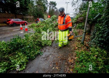 London, Großbritannien. Dezember 2024. Baumchirurgen entfernen Bäume von der A3 - der Hauptverkehrsstraße, die zur Autobahn M25 führt. Sturm Darragh verursacht Chaos in ganz England; umgefallene Bäume blockieren eine Zufahrtsstraße zur Autobahn M25 in Surrey und verursachen lange Rückstände. (Foto: Lab Ky Mo/Sopa Images/SIPA USA) Credit: SIPA USA/Alamy Live News Stockfoto