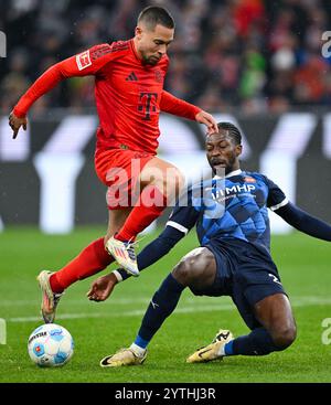 München, Deutschland. Dezember 2024. Fußball: Bundesliga, Bayern München - 1. FC Heidenheim, Spieltag 13 in der Allianz Arena. Raphael Guerreiro (l) aus München und Omar-Haktab Traore aus Heidenheim kämpfen um den Ball. Hinweis: Sven Hoppe/dpa - WICHTIGER HINWEIS: Gemäß den Vorschriften der DFL Deutschen Fußball-Liga und des DFB Deutschen Fußball-Bundes ist es verboten, im Stadion und/oder des Spiels aufgenommene Fotografien in Form von sequenziellen Bildern und/oder videoähnlichen Fotoserien zu verwenden oder zu verwenden./dpa/Alamy Live News Stockfoto