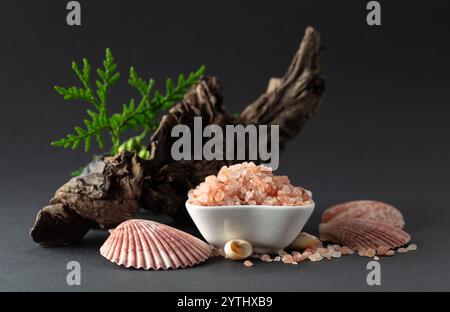 Rosafarbenes himalaya-Salz mit Schlangen, grünen Thuja-Zweigen und Muscheln. Himalaya-Salz in weißer Schüssel auf schwarzem Hintergrund. Kopierbereich. Stockfoto