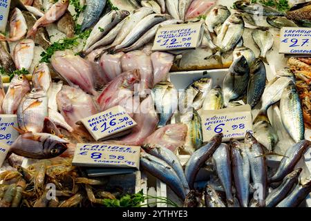 Athen, Attika - GR - 25. Oktober 2024 frischer Fisch und Meeresfrüchte auf dem Varvakios Central Market: Lebendige Fische und Garnelen auf Eis, handgeschrieben auf sig Stockfoto