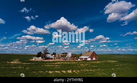 MAI 2024, SPOKEANE, WASHINGTON – PALOUSE – südlich von Ritzville, WA. Eine Farm mit Scheune, Pferden und blauem Himmel umgeben die Felder Stockfoto