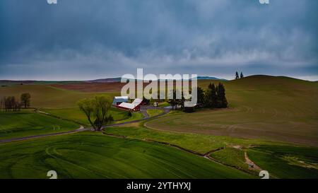 MAI 2024, PULLMAN, WASHINGTON – Farm in den Frühlingsfeldern südlich von Spokeane WA Stockfoto