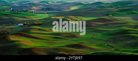 MAI 2024, SÜDLICH VON SPOKEANE, WA - die Palouse Grain and Wheat Agrar Region südlich von Spokeane erzeugt Muster von hügeligen Hügeln und Schatten - in der Nähe von Steptoe Butte, außerhalb von Pullman WA Stockfoto