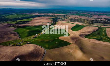 MAI 2024, SÜDLICH VON SPOKEANE, WA - die Palouse Grain and Wheat Agrar Region südlich von Spokeane erzeugt Muster von hügeligen Hügeln und Schatten - in der Nähe von Steptoe Butte, außerhalb von Pullman WA Stockfoto