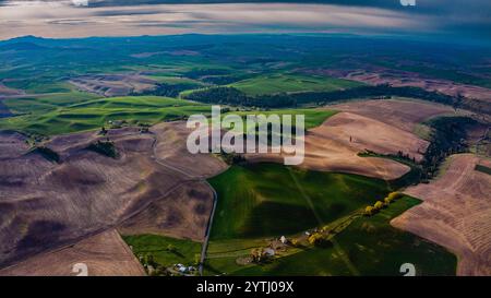 MAI 2024, SÜDLICH VON SPOKEANE, WA - die Palouse Grain and Wheat Agrar Region südlich von Spokeane erzeugt Muster von hügeligen Hügeln und Schatten - in der Nähe von Steptoe Butte, außerhalb von Pullman WA Stockfoto