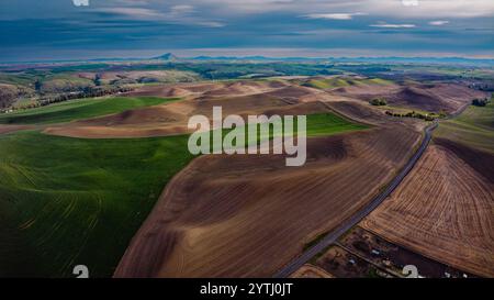 MAI 2024, SÜDLICH VON SPOKEANE, WA - die Palouse Grain and Wheat Agrar Region südlich von Spokeane erzeugt Muster von hügeligen Hügeln und Schatten - in der Nähe von Steptoe Butte, außerhalb von Pullman WA Stockfoto