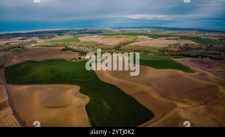 MAI 2024, SÜDLICH VON SPOKEANE, WA - die Palouse Grain and Wheat Agrar Region südlich von Spokeane erzeugt Muster von hügeligen Hügeln und Schatten - in der Nähe von Steptoe Butte, außerhalb von Pullman WA Stockfoto