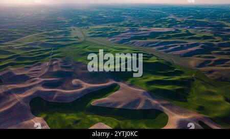 MAI 2024, SÜDLICH VON SPOKEANE, WA - die Palouse Grain and Wheat Agrar Region südlich von Spokeane erzeugt Muster von hügeligen Hügeln und Schatten - in der Nähe von Steptoe Butte, außerhalb von Pullman WA Stockfoto