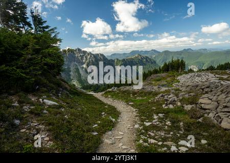 Der Spray Park Trail schlängelt sich durch die Rocky Meadow im Mount Rainier National Park Stockfoto
