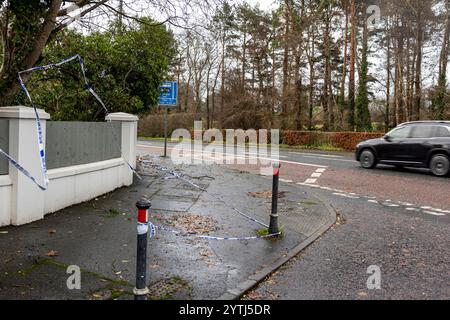 Belfast, Nordirland. Dezember 2024. Umgestürzte Bäume in Belfast, als Storm Darragh in Nordirland, Irland, niederschlägt. Dezember 2024. Quelle: Bonzo/Alamy Live News Stockfoto
