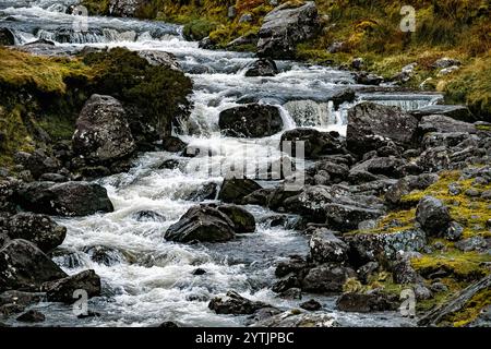 Ein Fluss fließt sanft über glatte Felsen und bildet kleine kaskadierende Wasserfälle. Umliegendes Gras und Moos unterstreichen die ruhige Schönheit dieses natürlichen Landes Stockfoto