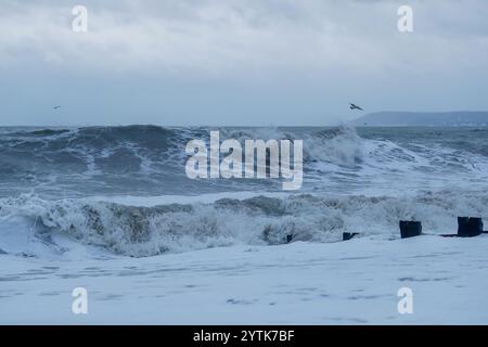 Marina Court Avenue, Bexhill-on-Sea. Dezember 2024. Met Office warnte vor starken Winden entlang der Küste von East Sussex, als Sturm Darragh an Land kam. Sturmwind und Sturmwellen treffen auf Bexhill-on-Sea nahe Eastbourne in East Sussex. Birling Gap, Eastbourne. Dezember 2024. Warnungen des MET Office waren wegen starker Winde an der Küste von East Sussex heute Morgen in Kraft, als Sturm Darragh an Land kam. Sturmwind und Sturmwellen treffen auf Birling Gap in Eastbourne in East Sussex. Quelle: james jagger/Alamy Live News Stockfoto