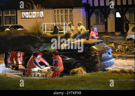 HINWEIS AN REDAKTEURE - Tod durch Polizeibeamten vor Ort bestätigt. - Sutton Road, Erdington, Birmingham 7. Dezember 2024 - Ein Mann starb, nachdem sein Auto von einem Baum getroffen wurde, der am Samstag Nachmittag bei starken Sturm Darragh Winden auf der Sutton Road an der Kreuzung der Silver Birch Road in der Erdington Gegend von Birmingham getroffen wurde. Feuerwehrleute, darunter Mitglieder der USAR und ISAR, Urban/International Search and Rescue, die oft zu großen Katastrophen in Übersee geschickt werden, haben heute Abend den Baum aus dem Fahrzeug geschnitten, um den nicht identifizierten Mann zu retten. Quelle: British News und Media/Alamy Live News Stockfoto