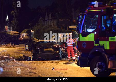 HINWEIS AN REDAKTEURE - Tod durch Polizeibeamten vor Ort bestätigt. - Sutton Road, Erdington, Birmingham 7. Dezember 2024 - Ein Mann starb, nachdem sein Auto von einem Baum getroffen wurde, der am Samstag Nachmittag bei starken Sturm Darragh Winden auf der Sutton Road an der Kreuzung der Silver Birch Road in der Erdington Gegend von Birmingham getroffen wurde. Feuerwehrleute, darunter Mitglieder der USAR und ISAR, Urban/International Search and Rescue, die oft zu großen Katastrophen in Übersee geschickt werden, haben heute Abend den Baum aus dem Fahrzeug geschnitten, um den nicht identifizierten Mann zu retten. Quelle: British News und Media/Alamy Live News Stockfoto