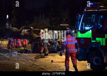 HINWEIS AN REDAKTEURE - Tod durch Polizeibeamten vor Ort bestätigt. - Sutton Road, Erdington, Birmingham 7. Dezember 2024 - Ein Mann starb, nachdem sein Auto von einem Baum getroffen wurde, der am Samstag Nachmittag bei starken Sturm Darragh Winden auf der Sutton Road an der Kreuzung der Silver Birch Road in der Erdington Gegend von Birmingham getroffen wurde. Feuerwehrleute, darunter Mitglieder der USAR und ISAR, Urban/International Search and Rescue, die oft zu großen Katastrophen in Übersee geschickt werden, haben heute Abend den Baum aus dem Fahrzeug geschnitten, um den nicht identifizierten Mann zu retten. Quelle: British News und Media/Alamy Live News Stockfoto