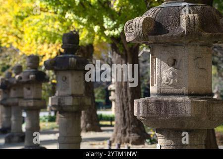 Gelbe Ginkgobäume und Steinlaternen im Yasukuni-jinja-Schrein. Der Yasukuni-Schrein ist ein schintoistischer Schrein in Chiyoda, Tokio. I Stockfoto