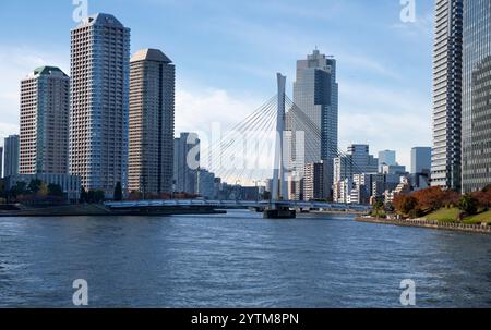 Wolkenkratzer des Century Park Tower ist ein Wohngebäude im River City 21 Gebäudekomplex im Chuo Spezialbezirk von Tokio, Japan. Abgeschlossen Stockfoto