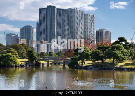 Herbstlaub in den Hamarikyu Gardens, Tokio, Japan. Der Hamarikyu Garden befindet sich im Zentrum von Tokio, an der Bucht von Tokio, im Bezirk Shiodome. Stockfoto