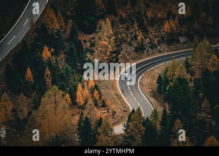 Aus der Vogelperspektive eines Autos, das auf der Landstraße durch den Herbstwald fährt. Stockfoto