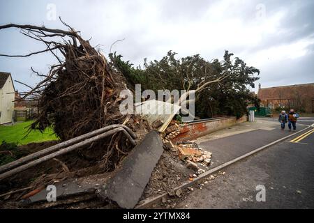 Burnham-on-Sea in Somerset, wo ein Baum auf Häuser gefallen ist, als Storm Darragh starke Winde und starke Regenfälle über Großbritannien bringt. Stockfoto