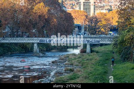 Zürich, Schweiz, 16. November 2024: Über die Militärbrücke wurde ein Banner mit der Aufschrift „Krieg gegen Krieg – Solidarität mit Palästina“ gestreckt Stockfoto