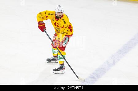 Kloten, Schweiz, 30. November 2024: #42 Phil Baltisberger, Verteidiger SCL Tigers. (Foto: Andreas Haas/dieBildmanufaktur) Stockfoto