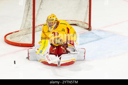 Kloten, Schweiz, 30. November 2024: Torhüter #39 Luca Boltshauser (Langnau) verteidigt einen Puck. (Foto: Andreas Haas/dieBildmanufaktur) Stockfoto