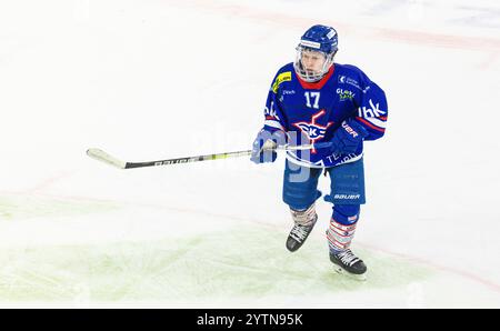 Kloten, Schweiz, 24. November 2024: #17 Elia Liniger, Stürmer EHC Kloten U20-Elit Team. (Foto: Andreas Haas/dieBildmanufaktur) Stockfoto