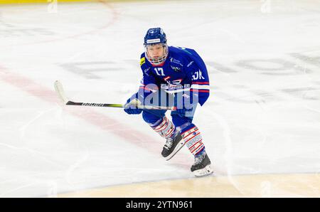 Kloten, Schweiz, 29. November 2024: #17 Elia Liniger, Stürmer EHC Kloten U20-Elit Team. (Foto: Andreas Haas/dieBildmanufaktur) Stockfoto