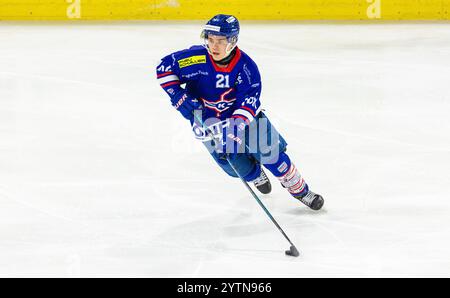 Kloten, Schweiz, 29. November 2024: #21 Cyril Keller, Stürmer EHC Kloten U20-Elit Team mit dem Puck. (Foto: Andreas Haas/dieBildmanufaktur) Stockfoto