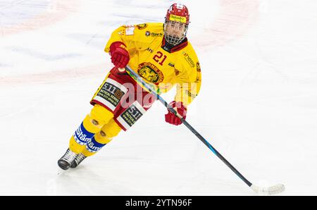 Kloten, Schweiz, 29. Nov 2024: #21 Nick Brenner, Stürmer SCL Young Tigers U20-Elit Team. (Foto: Andreas Haas/dieBildmanufaktur) Stockfoto