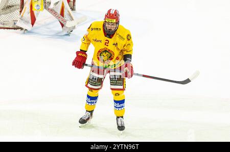 Kloten, Schweiz, 29. November 2024: #2 Simon Bär, Verteidiger SCL Young Tigers U20-Elit Team. (Foto: Andreas Haas/dieBildmanufaktur) Stockfoto