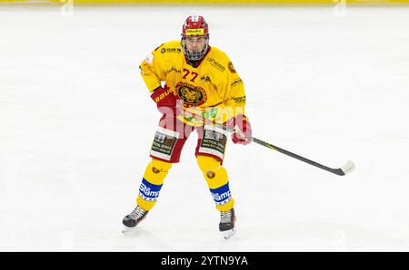 Kloten, Schweiz, 29. November 2024: #77 Cedric Schindler, Verteidiger SCL Young Tigers U20-Elit Team. (Foto: Andreas Haas/dieBildmanufaktur) Stockfoto